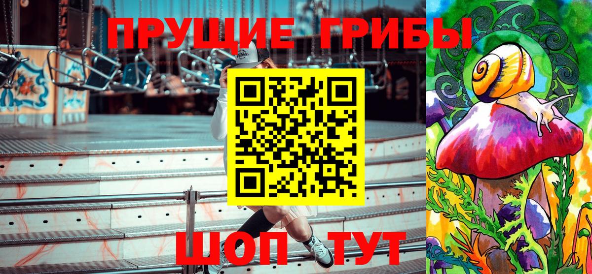 Псилоцибиновые грибы Psilocybine cubensis Кашира